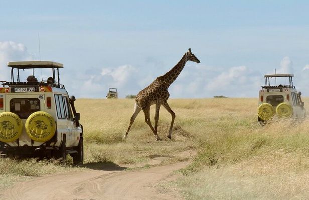 3-Day Budget Maasai Mara Joining Safari with 4x4 LandCruiser Jeep