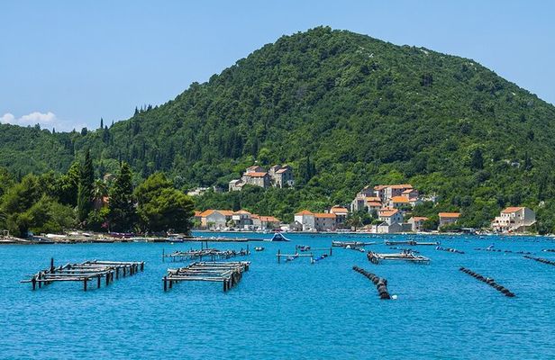 Dubrovnik: Ston wine and oyster tasting