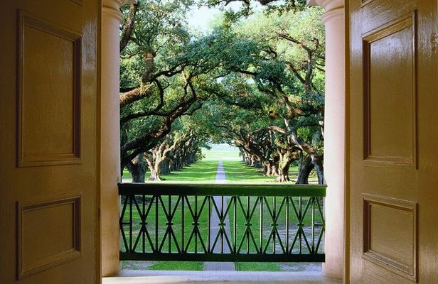 Half-Day Oak Alley Plantation Tour in Vacherie