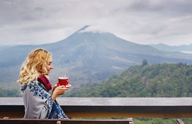 Private Tour: Best of Bali - All Inclusive Tickets