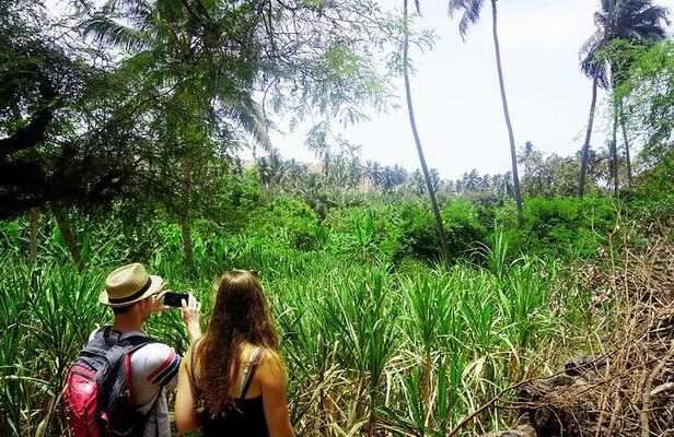 Cape Verde: Best trails of Santiago and Fogo islands