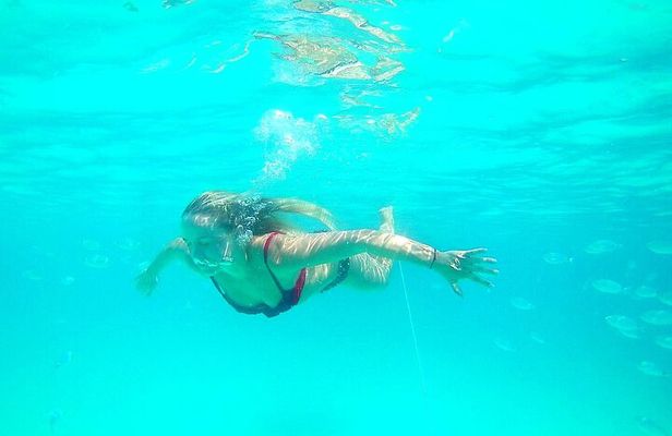 Private Speedboat tour "Zadar Islands - Off the Beaten Path"
