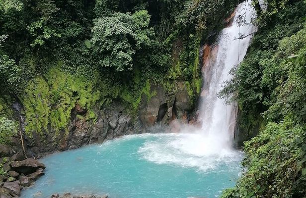 Premium Tour:Sloths and Río Celeste y Cortez Waterfalls (Tenorio Volcano Park)