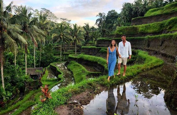 Full-Day in Bali: Amazing Ubud Tour