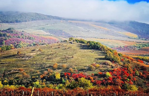 Home to Bull's Blood red wine! Eger with winetaste private tour