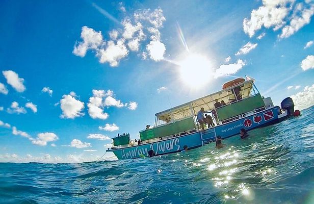 Half-Day Florida Keys Catamaran Snorkel Adventure
