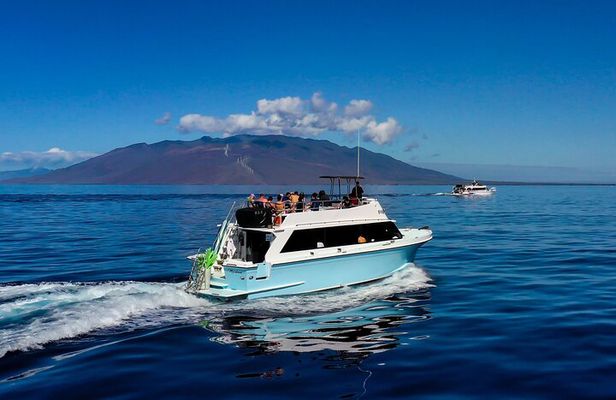 Maui Snorkeling Molokini Crater Uncrowded, Unhurried.