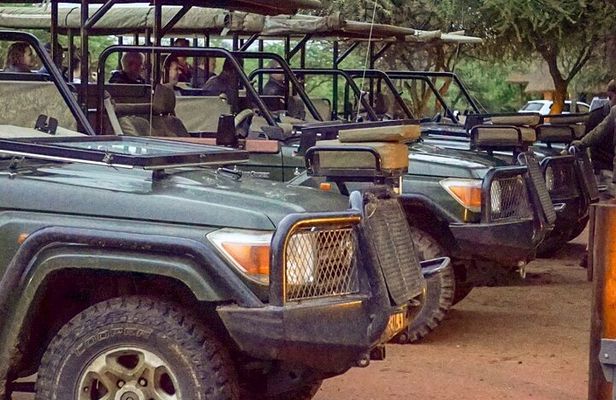 Safari Game Drive: Dinokeng Game Reserve