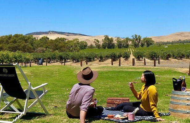 Picnic and Wine Tasting Experience in the Barossa Valley