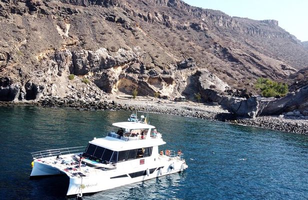 Afrikat Morning Cruise