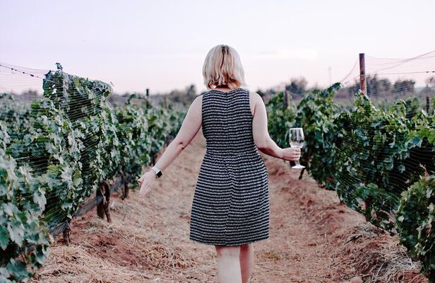 Private Oyster and Wine Tasting Day Trip along Peljesac