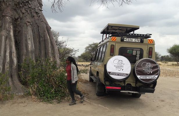 5 Days Tanzania Safari - Migration and Big 5 Safaris