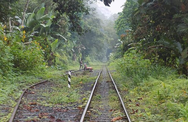 San Cipriano Natural Reserve Full Day Adventure