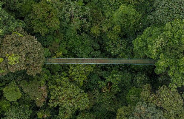 Selvatura Park Eco Adventure Tour of Monteverde