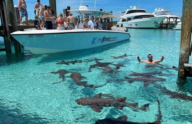 Exuma Island Hopping & Swimming Pigs Tour with Lunch from Nassau
