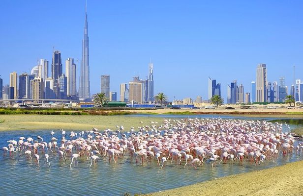 Charming Dubai City Tour with The View at The Palm - Scenic Tourist Attraction