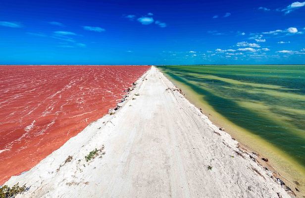 Full-Day Rio Lagartos and Las Coloradas Tour with Lunch