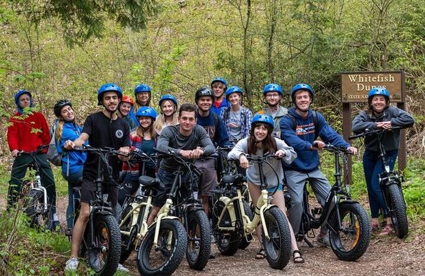 Cave Point Fat Tire E-Bike Tour