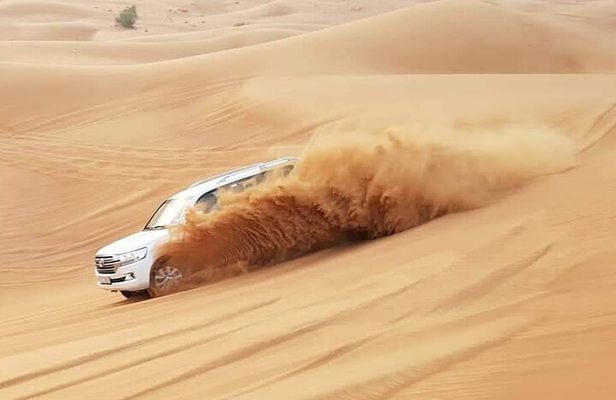Dubai Desert Safari Tour Hotel Transfer, Camel Ride & BBQ Dinner