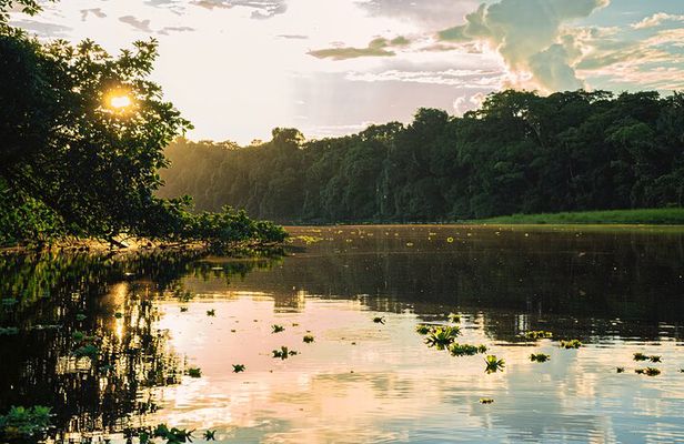 Adventure in the Amazon Jungle 5D/4N at Amazon Mamori lodge