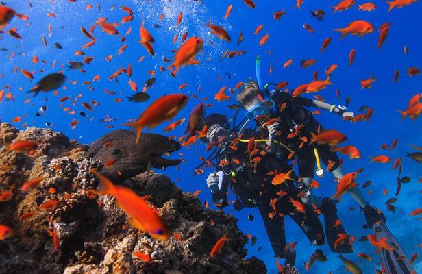 Safe Try dive-Personal instructor, 1:1 experience, Top boat