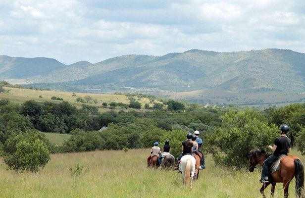 Harties Horse Trail Safari Half day