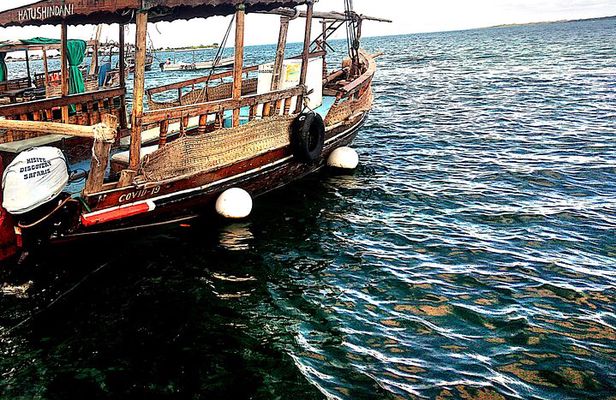 1 day wasini island ( Kisite Marine park)