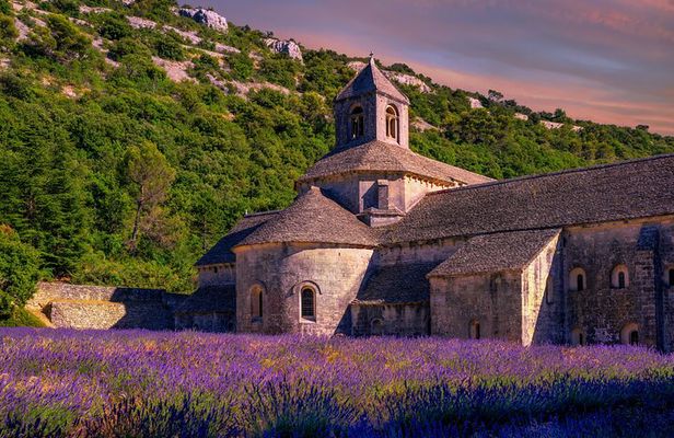Lavender Route - Small-Group Day Trip from Avignon