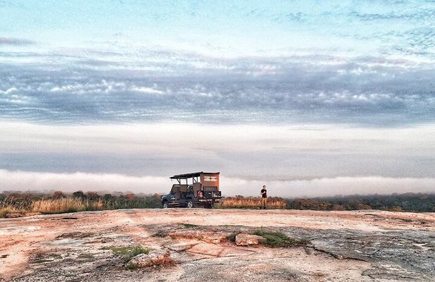 Kruger National Park Sunrise Half-Day Safari Tour