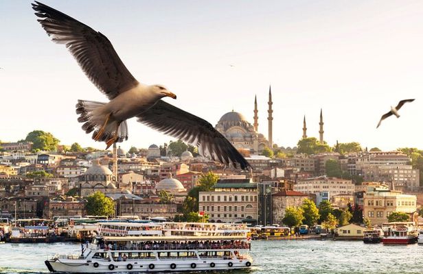 Istanbul Bosphorus Boat Tour and Golden Horn Cruise Day or Sunset