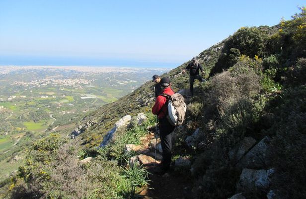 Jeep Tour to Giouchta Mountain, Wine & Olive Tasting