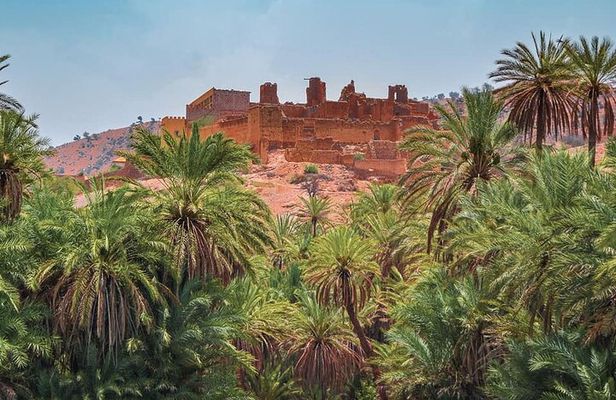 Tardoudant Tiout Oases Explore