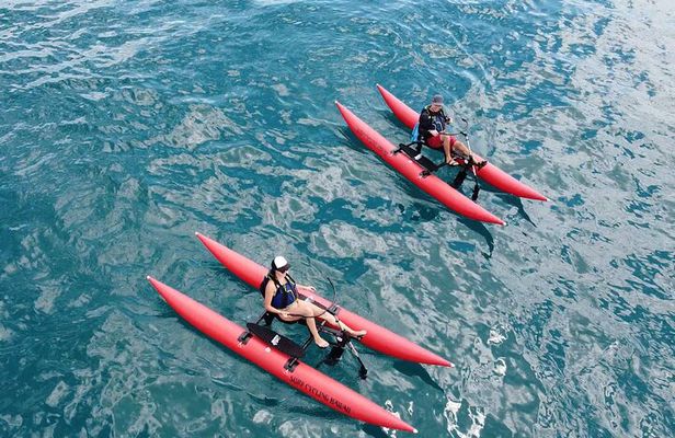Water Bike Tour in Maui