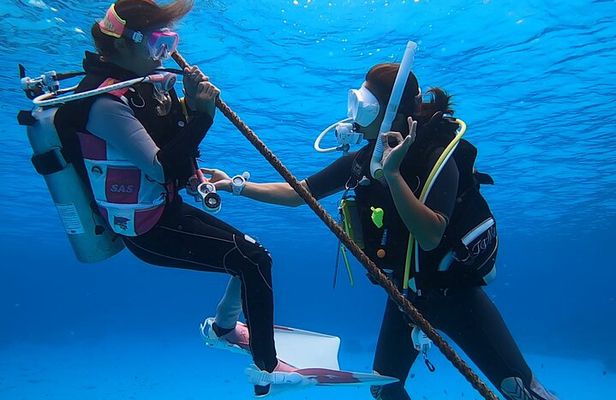 Naha: Full-Day Introductory diving & Snorkeling in the Kerama Islands, Okinawa