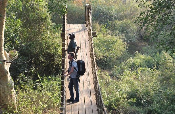 Mkuze (uMkhuze) Fig Forest Walk