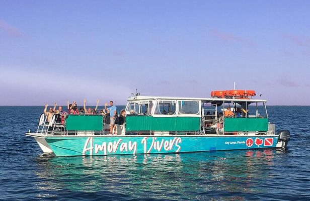 1.5 Hour Bay Side Key Largo Sunset Cruise on a Spacious Catamaran