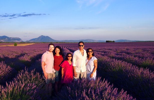 Sunset Lavender Tour in Valensole with pickup from Marseille 