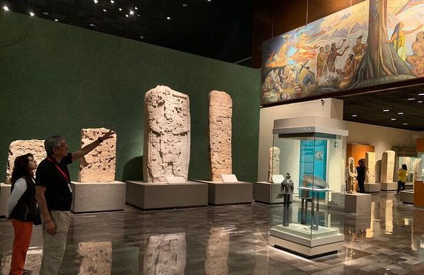 Visit the Anthopology Museum with an expert