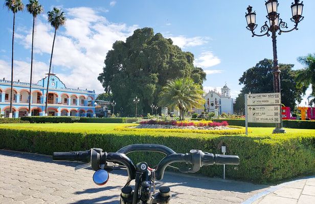 Biking to The Ancient Tule Tree