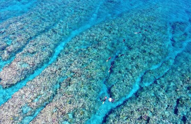 Half-Day Snorkeling Experience in the Kerama Islands from Naha
