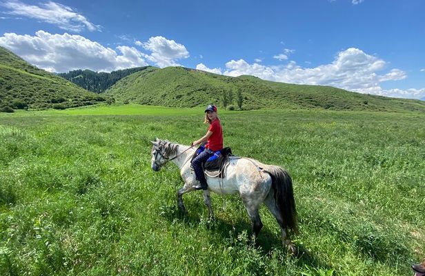 A superb horse riding in Chon Kemin valley, 1 day