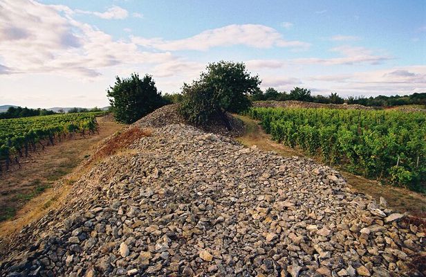 Full-Day Custom Tokaj Wine Tour