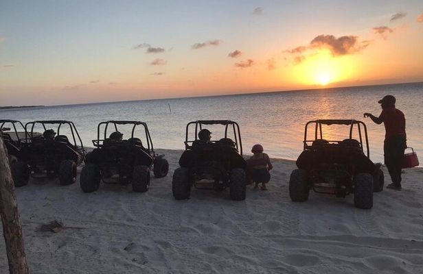 Roatan Sunset Dune Buggy Tour Wildlife Eco Park Adventure