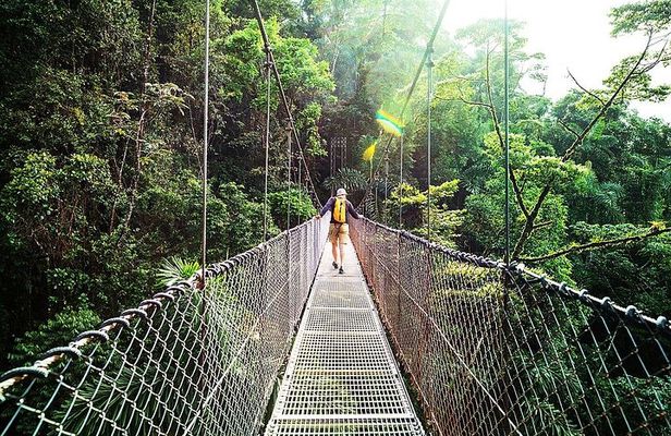 Combo: Day Trip to Hanging Bridges + ZipLine in Monteverde