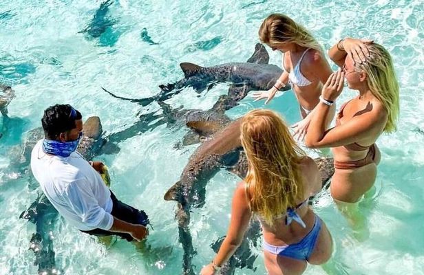 Exuma Full Day Swimming Pigs Group Boat Tour 