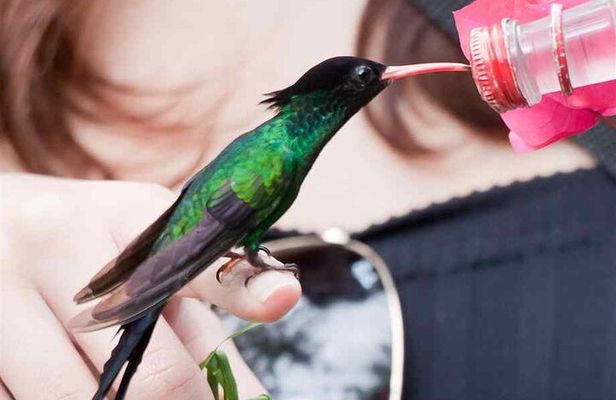 Rockland Bird Sanctuary Private Tour