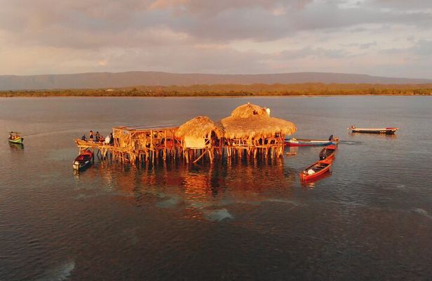 Private Tour to YS Falls, Appleton Rum Tour and Pelican Bar from Montego Bay