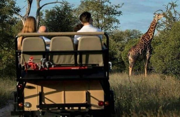 3-Day Private Budget Safari to Serengeti Np and Ngorongoro Crater