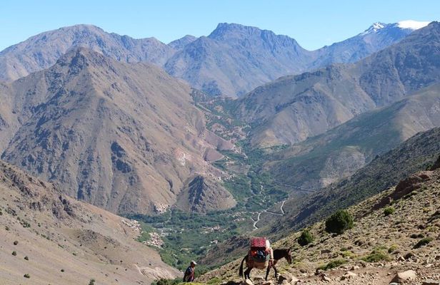Mount Toubkal Trek-2 day