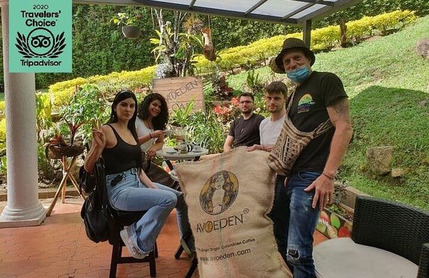 Best Coffee brewing workshop in AVOEDEN cafe